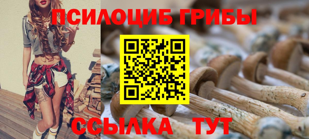 Псилоцибиновые грибы мухоморы  Галлюциногенные грибы ЛСД  Сертолово  Вход с VPN 