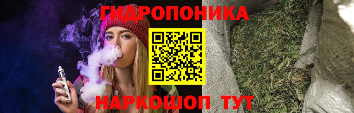 Каннабис семена  Шишки марихуана THC 21%  Вход с VPN  Бошки Шишки планчик  Сертолово  Конопля SATIVA & INDICA 